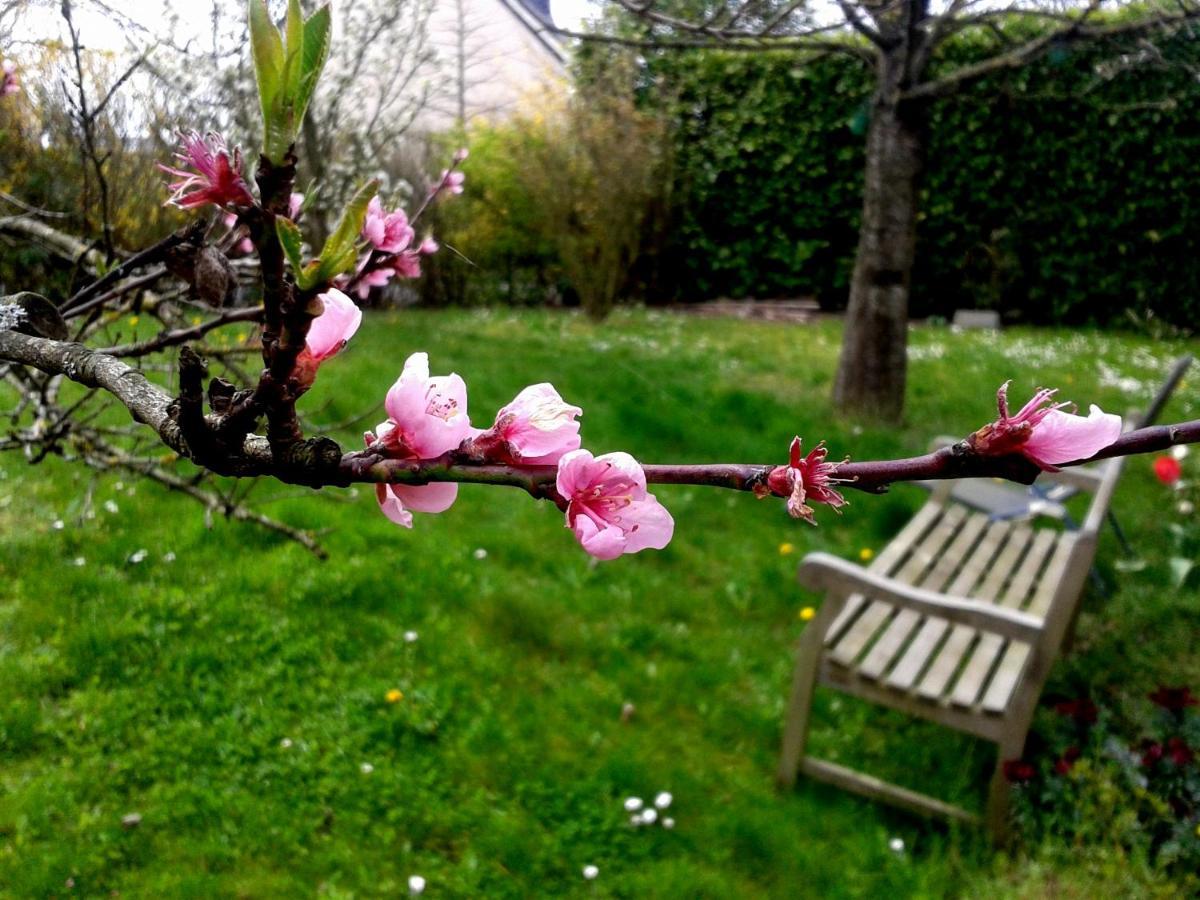 Maison La Chapelle Bed and Breakfast Exteriör bild